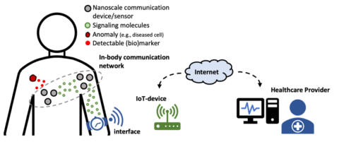 Towards entry "Seminar on the Internet of BioNanoThings"